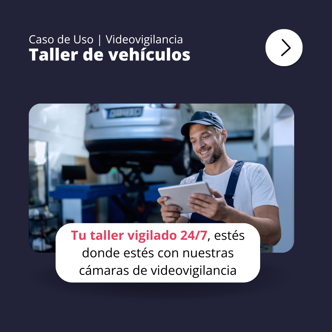Videovigilancia y seguridad