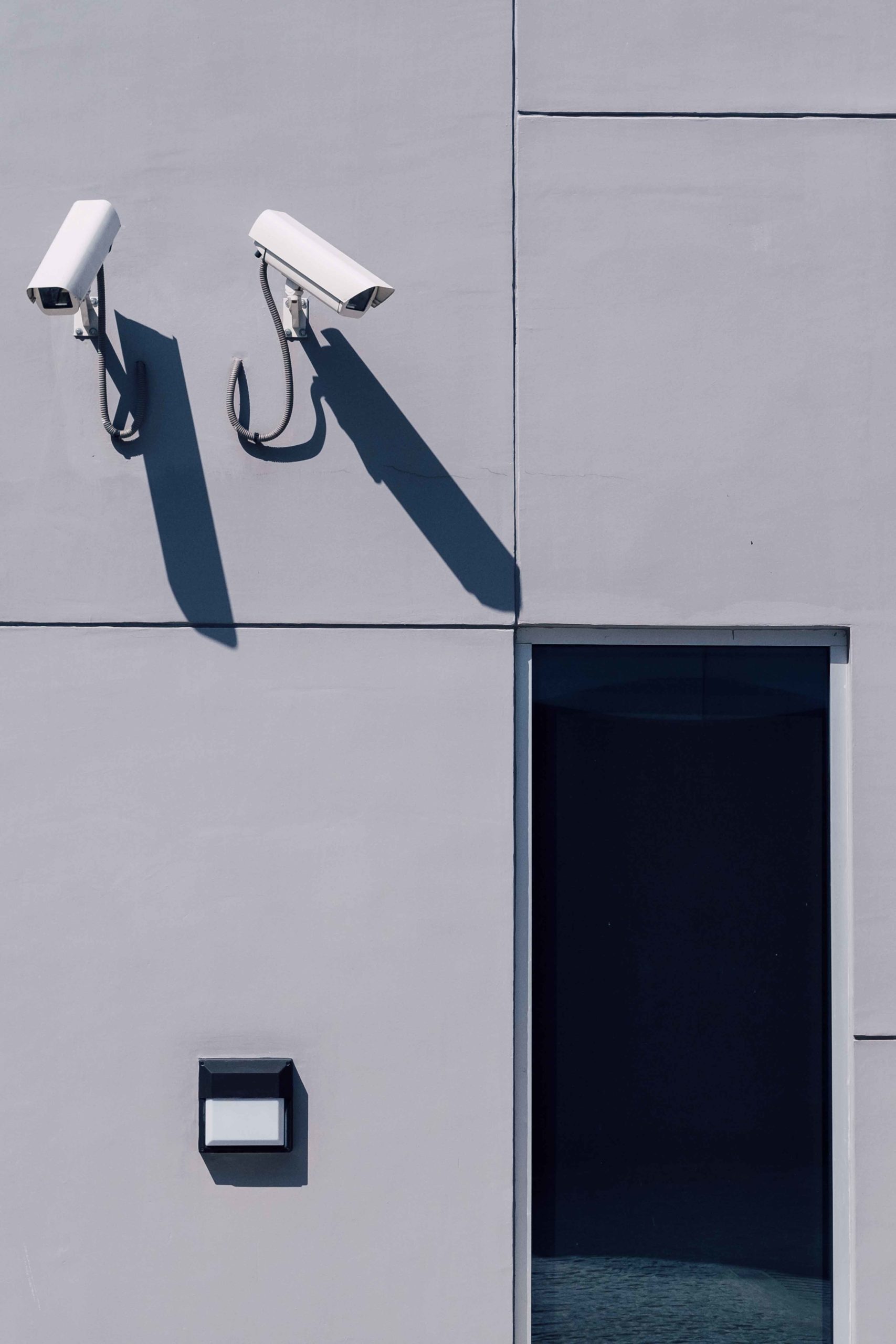 Videovigilancia y seguridad